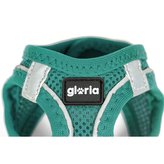 Σαμαράκι Σκύλου Gloria Trek Star 27-28 cm 31-34,6 cm Τυρκουάζ XS
