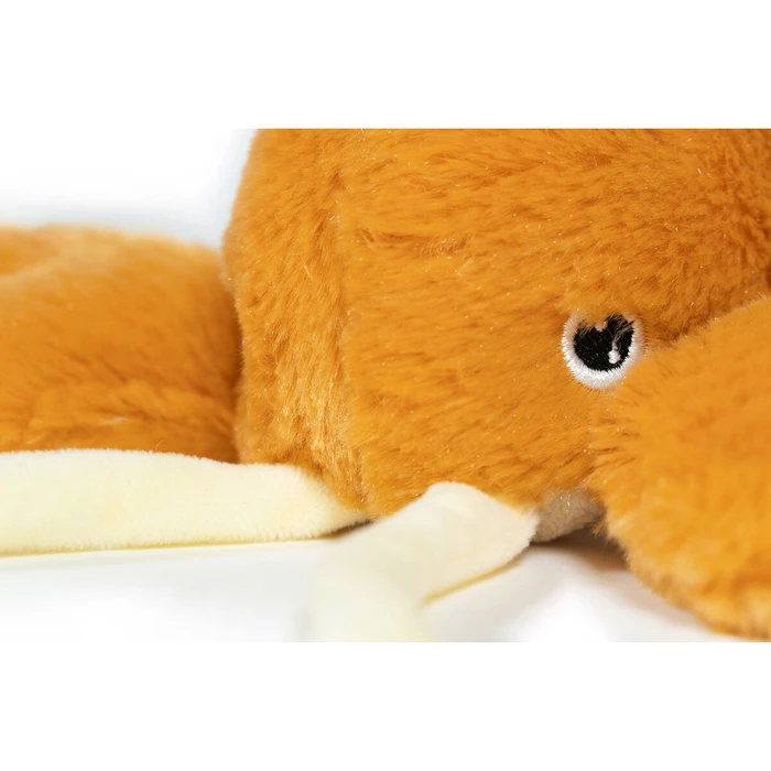 Παιχνίδια για Σκύλους Gloria Πορτοκαλί πολυπροπυλένιο