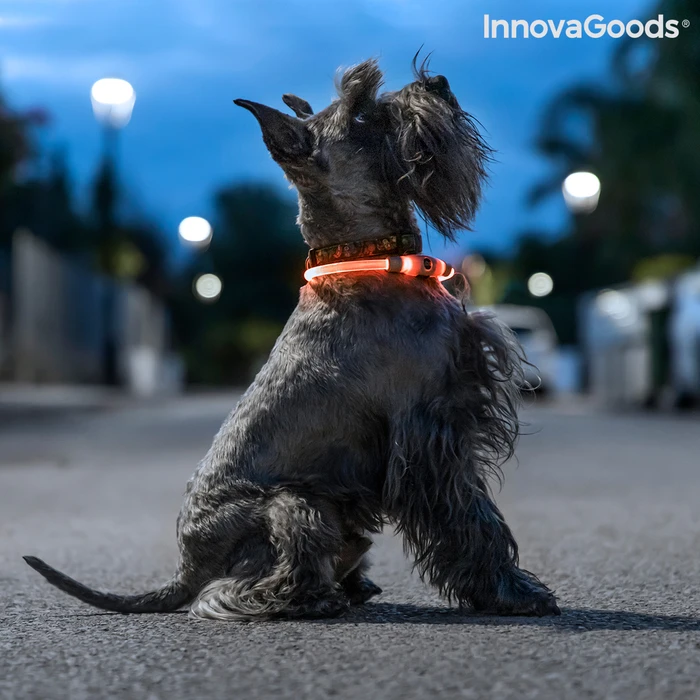Κολάρο LED για Κατοικίδια Ζώα Petlux InnovaGoods