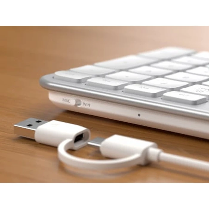 Satechi Slim LX3 Wired USB-A Keyboard with Numeric Layout, USB-C, and Mac/Windows Mode Switch (silver)
