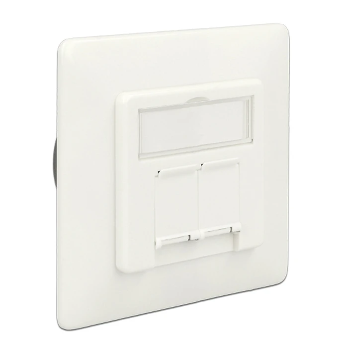 Modular Wall Outlet DeLOCK Δικτύου, Cat.6A, 2x LSA, 2 Port