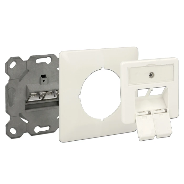 Modular Wall Outlet DeLOCK Δικτύου, Cat.6A, 2x LSA, 2 Port