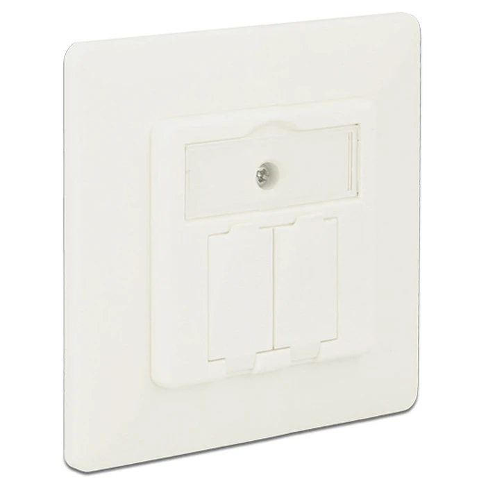 Πριζα δικτυου Delock Wall Outlet για Keystone 86219, 2 Port