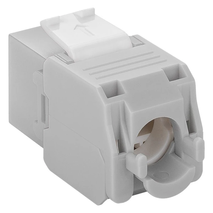Αξεσουάρ Δικτύου Goobay Keystone module RJ45 CAT 6A 90693, UTP, γκρι