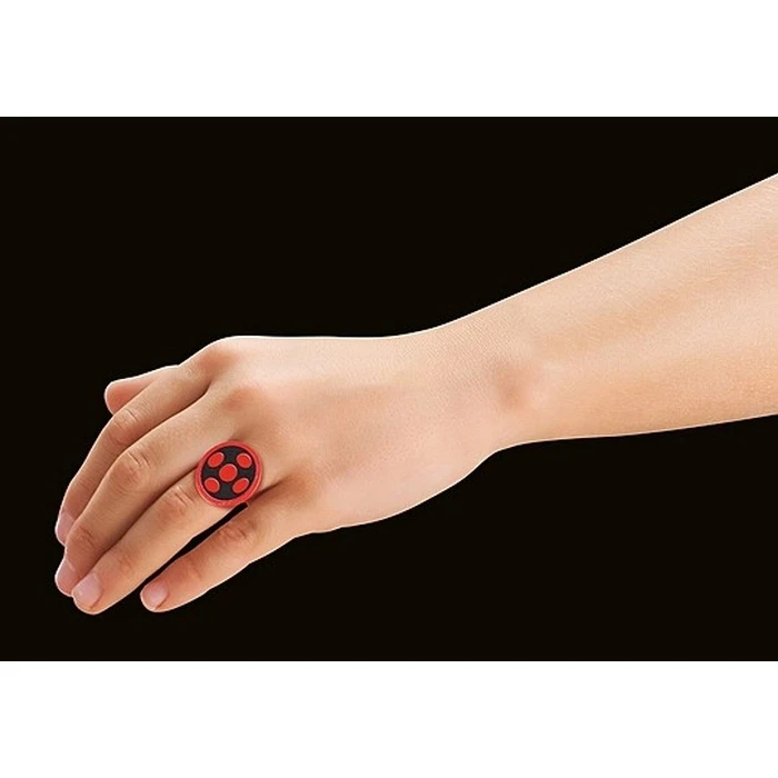 Playmobil Miraculous: Antibug