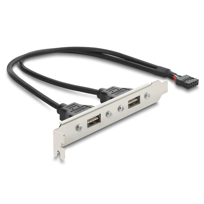 DELOCK κάρτα επέκτασης USB 9pin σε 2x USB 2.0 91800
