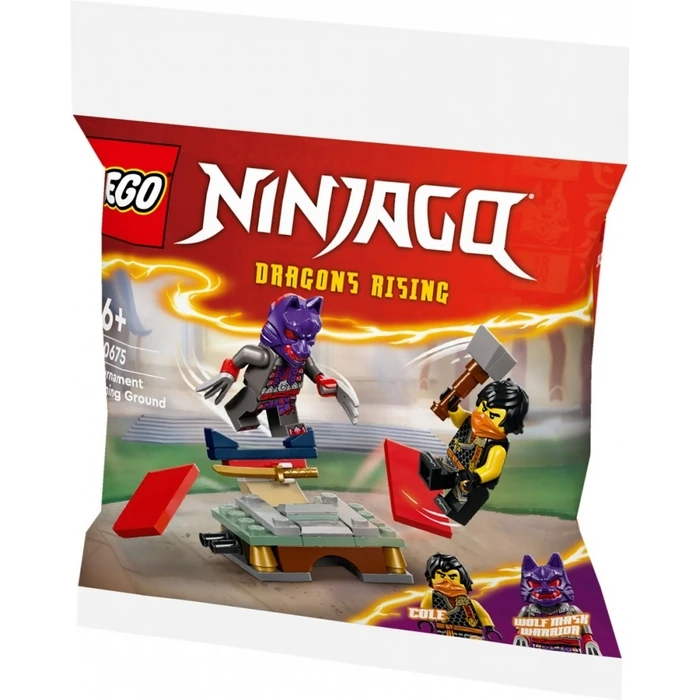 LEGO Bricks Ninjago 30675 Tournament Training Ground