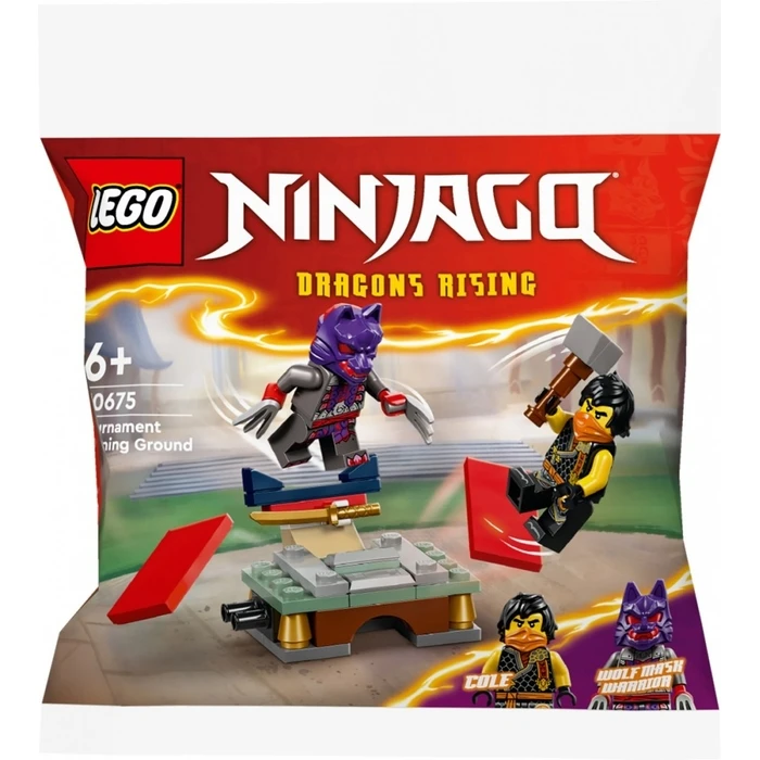 LEGO Bricks Ninjago 30675 Tournament Training Ground