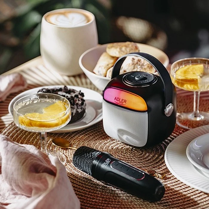 Karaoke Adler Ad1199b