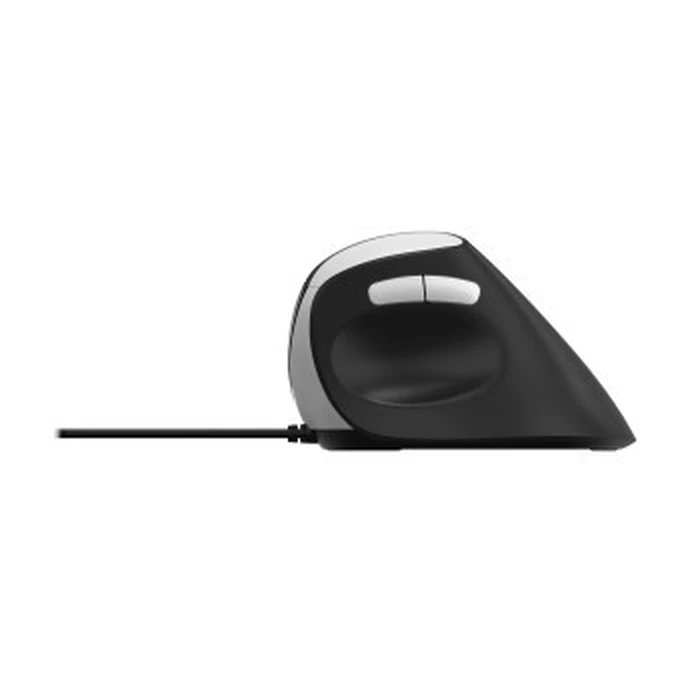 Ποντίκι Ενσύρματο Rapoo ergonomic EV200 Black
