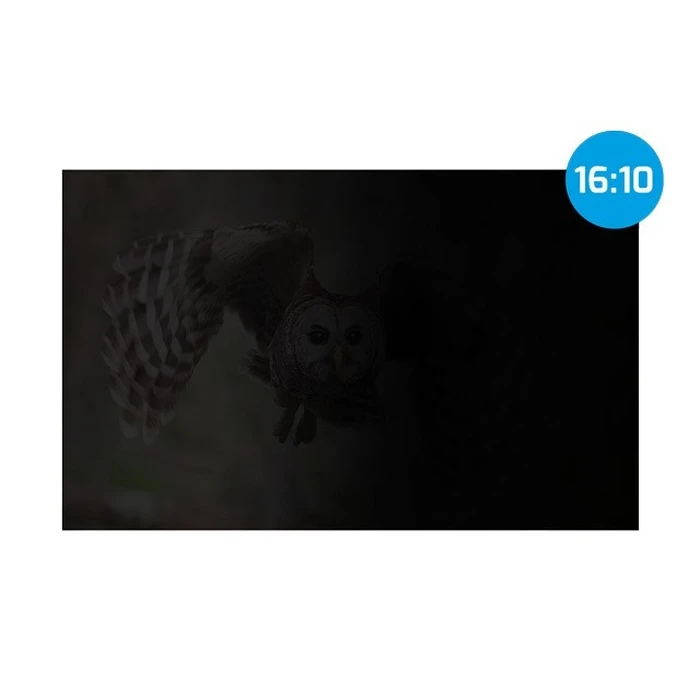 Privacy Filter Natec Natec Owl 15.6" 16:10