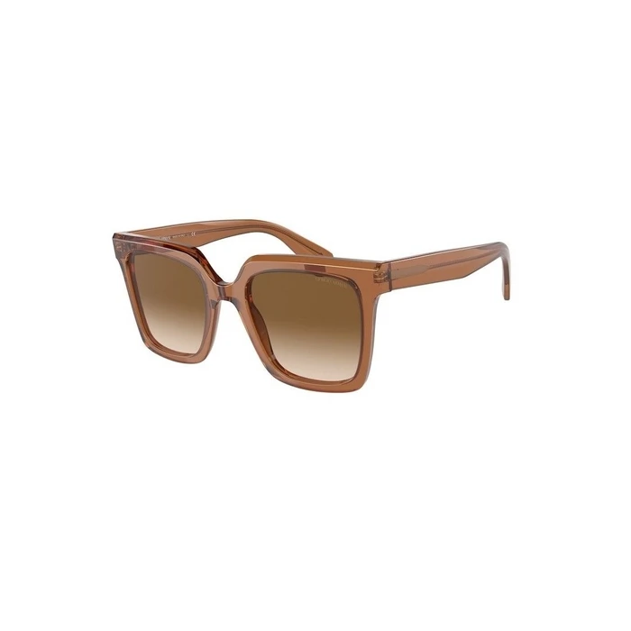 Γυναικεία Γυαλιά Ηλίου Giorgio Armani Ar8156-593251 (52/21/140 mm) Brown
