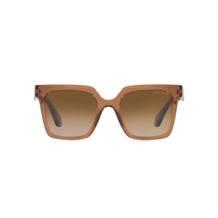 Γυναικεία Γυαλιά Ηλίου Giorgio Armani Ar8156-593251 (52/21/140 mm) Brown