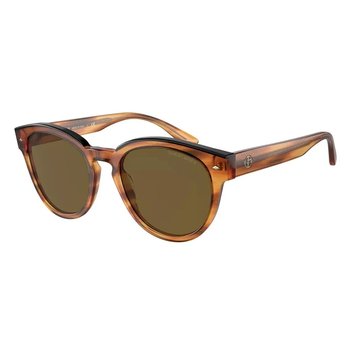 Γυναικεία Γυαλιά Ηλίου Giorgio Armani Ar8164F592173 (55/20/145 mm) Brown