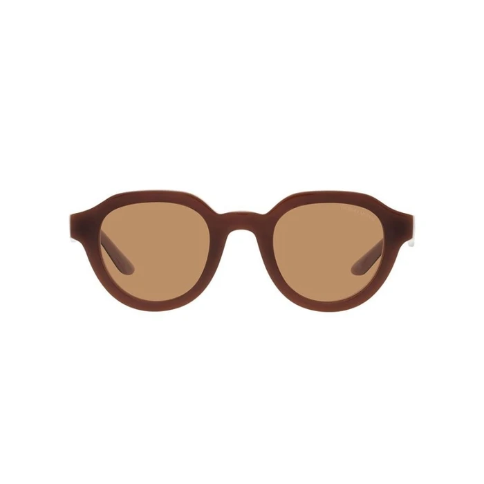 Γυναικεία Γυαλιά Ηλίου Giorgio Armani Ar8172U596953 (46/24/145 mm) Brown