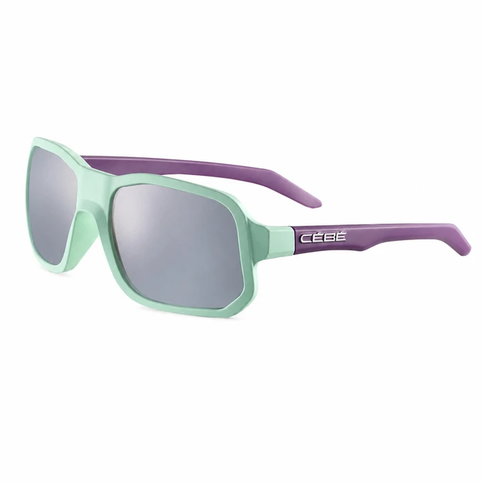 CEBE Men's Sunglasses CS32805-S — Sleepwalker Black Translucent Matte, Polarized Gray Silver
