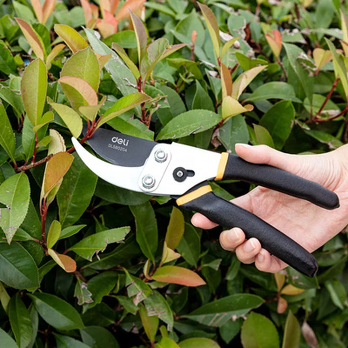 Κλαδευτήρι Deli DL580204, teflon, ρυθμιζόμενο, 21cm