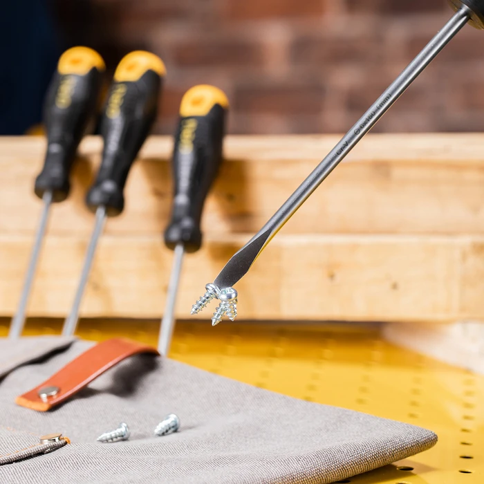 Σετ Κατσαβιδιών Deli Dl620004, Μαγνητικά, 4Τμχ