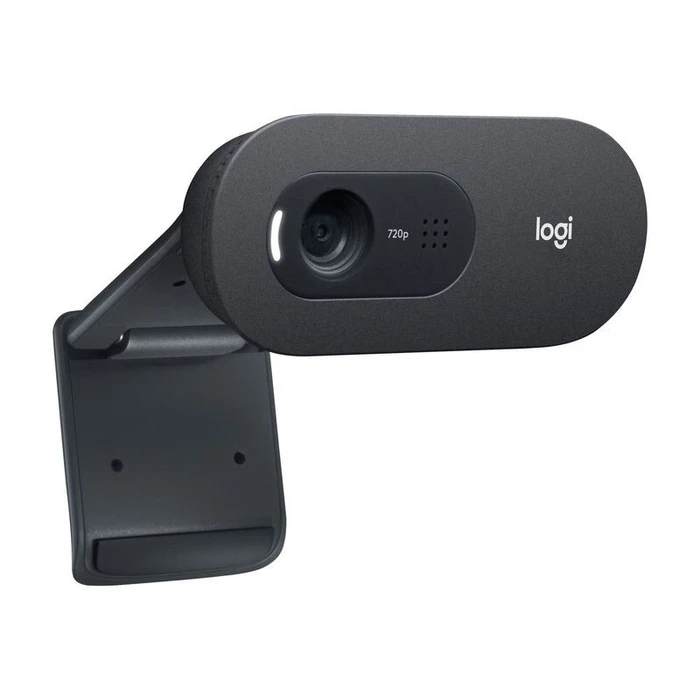 Webcam Logitech C505 - Web-Kamera