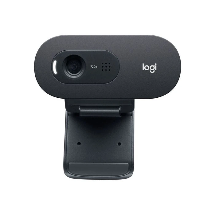 Webcam Logitech C505 - Web-Kamera