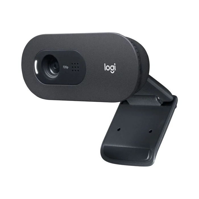 Webcam Logitech C505 - Web-Kamera