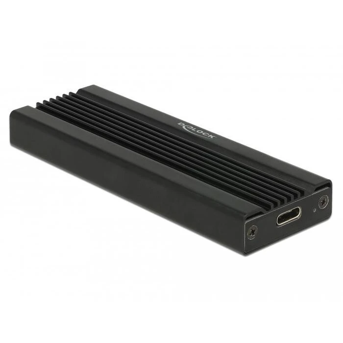 Θήκη Σκληρού Δίσκου DeLOCK 42600 USB 3.2 Gen 1