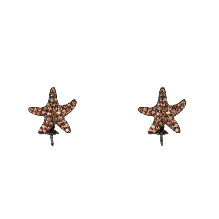 Γυναικείο Σκουλαρίκια Lancaster Jla-Ear-Star4 (1,2Mm) από Ασήμι Brown/ Black