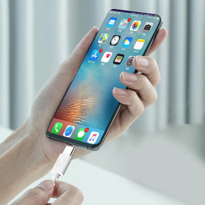 Kakusiga Intellect USB 2.0 Cable USB-C male - USB-A Λευκό 2m KSC-332