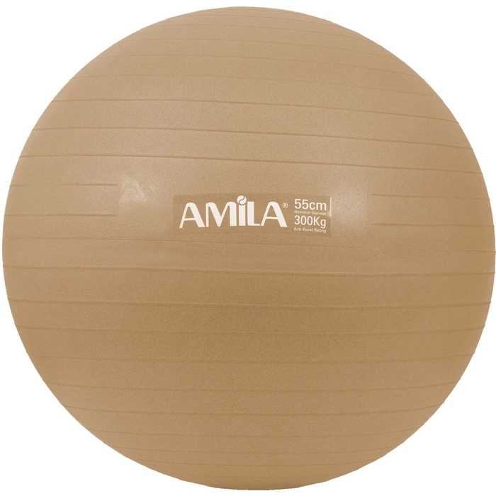 Μπάλα Γυμναστικής Amila 48410 Φ55cm