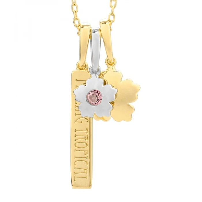 Γυναικείο Κολιέ Secrecy P7154Cdawwc93 (42cm) από Ασήμι Golden