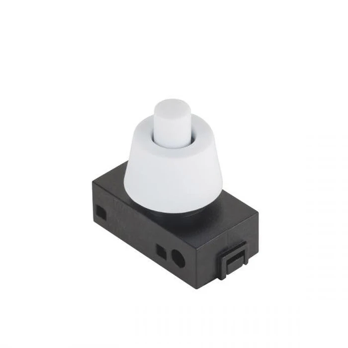 Switch T55 2A/250V on/off