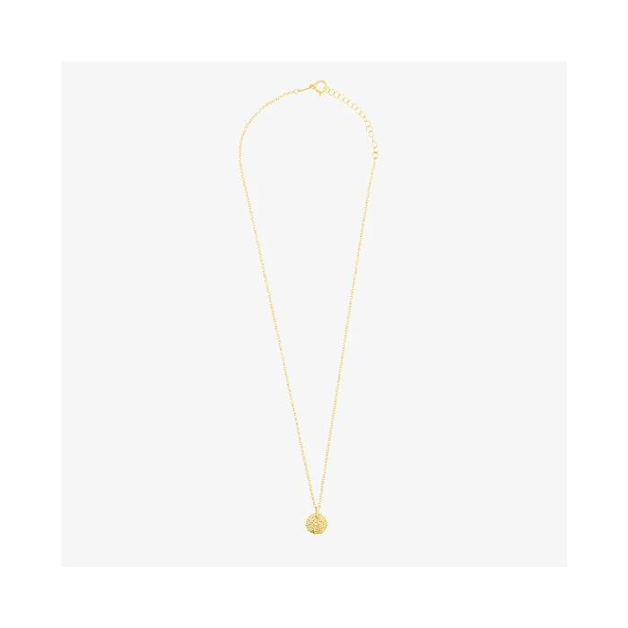 Γυναικείο Κολιέ Radiant Ry000028 (50cm) από Ατσάλι Golden