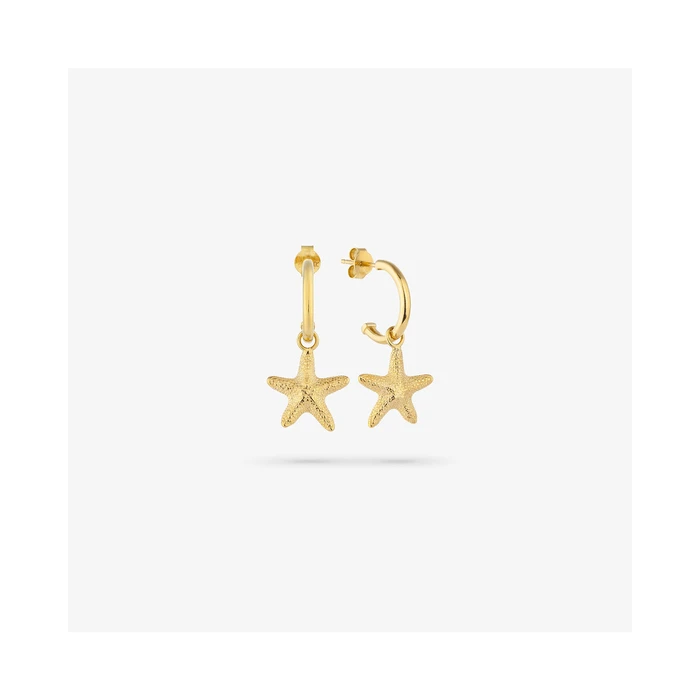 Γυναικεία Σκουλαρίκια Radiant Ry000137 (2cm) από Ατσάλι Golden