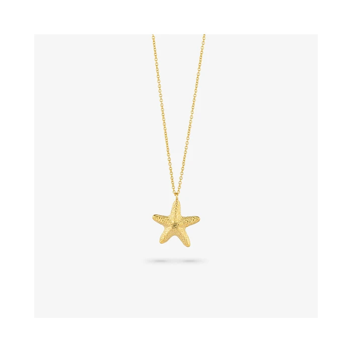 Γυναικείο Κολιέ Radiant Ry000140 (45cm) από Ατσάλι Golden