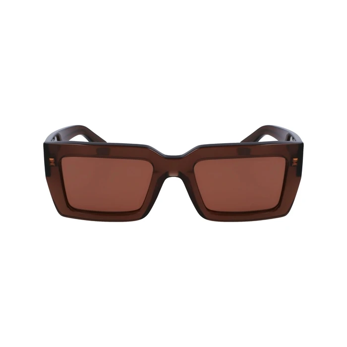 Γυναικεία Γυαλιά Ηλίου Ferragamo Sf1108S542123 (54/21/140 mm) Brown