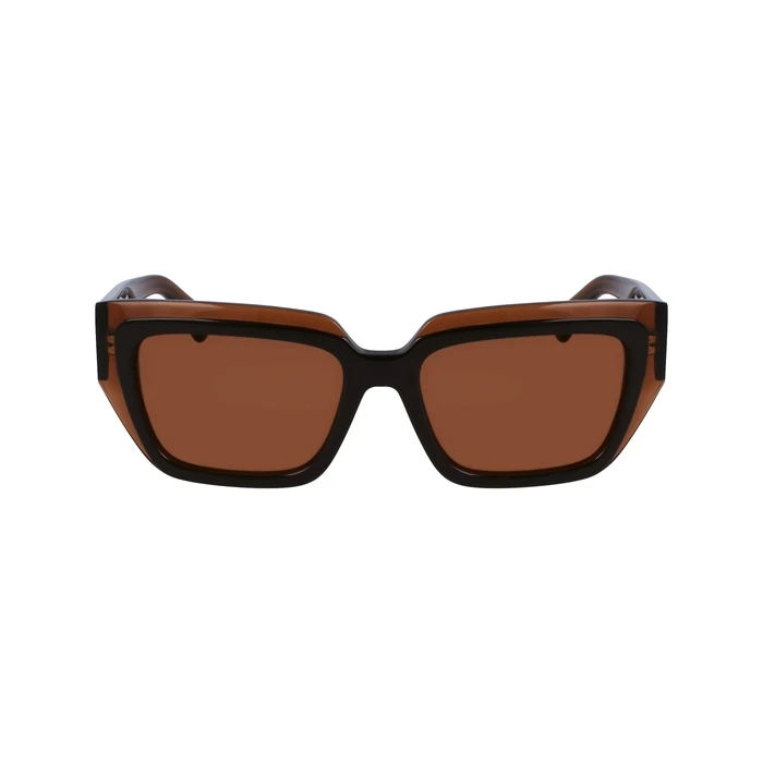 Γυναικεία Γυαλιά Ηλίου Ferragamo Sf2002S-233 (55/18/140 mm) Brown