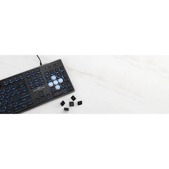 Gaming Πληκτρολόγιο White Shark Led Gk-003141 Tachi Us Layout Black