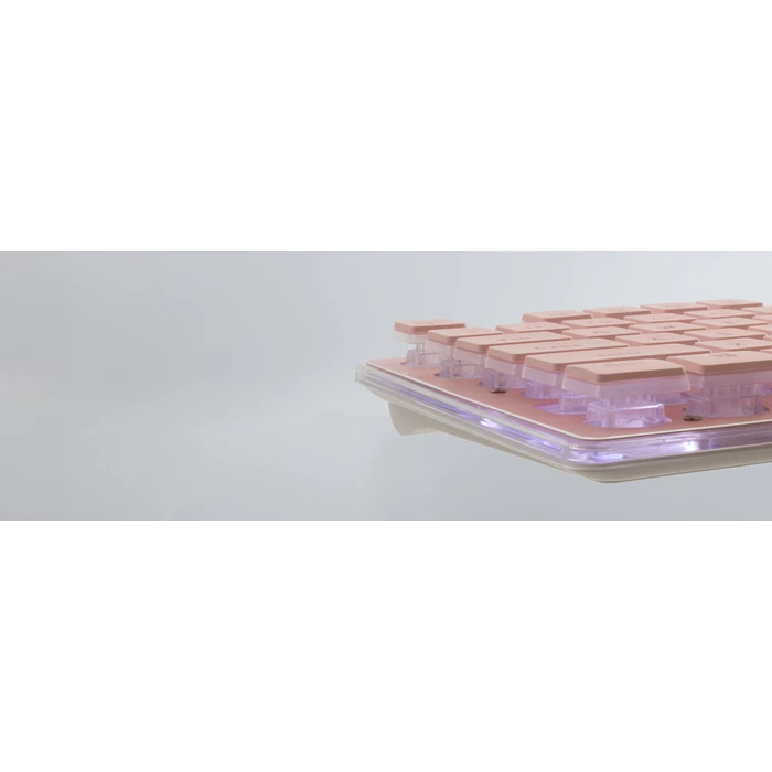 Gaming Πληκτρολόγιο White Shark Led Keyboard Gk-003441 Tachi Us Layout Pink