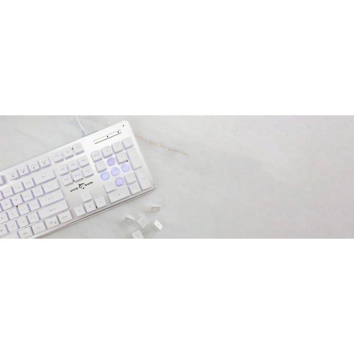 Gaming Πληκτρολόγιο White Shark Led Keyboard Gk-003241 Tachi Us Layout White