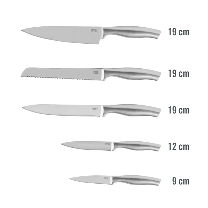 Teesa 5-piece Kitchen Knife Set with Stainless Steel Block (TSA0204)