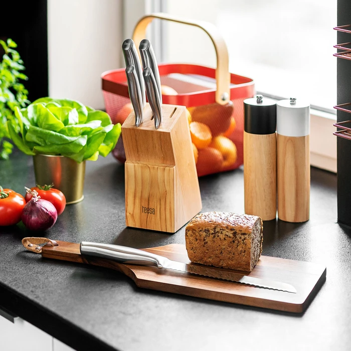 Teesa 5-piece Kitchen Knife Set with Stainless Steel Block (TSA0204)
