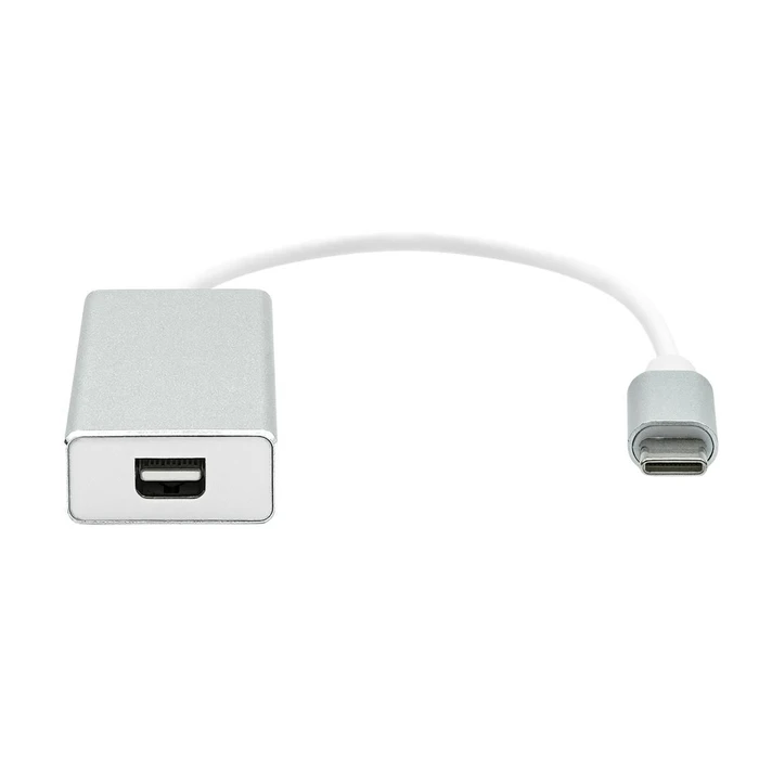 Προσαρμογέας USB Proxtend USB-C σε Mini DisplayPort 20cm Ασημί