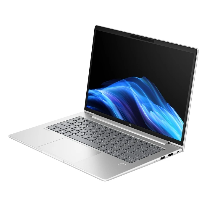 Laptop HP ProBook 4 G1a AI PC AMD Ryzen 7 250 14 WUXGA 16 GB DDR5 Wi Fi 6E Windows 11 Pro Silver