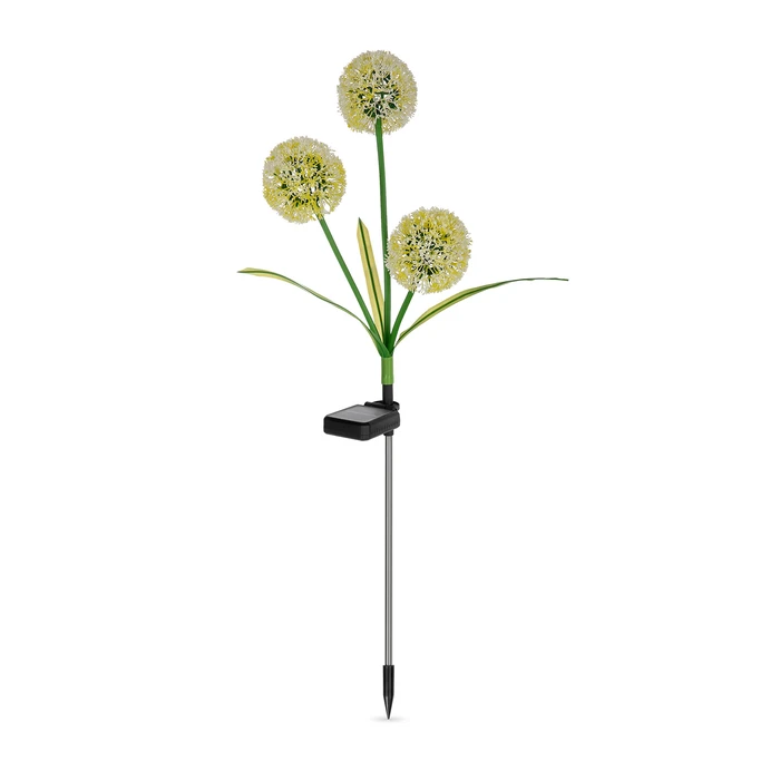 Rebel Διακοσμητικά ηλιακά φώτα κήπου ZAR0580