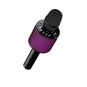 AKAI Wireless Karaoke Microphone with Speaker PartyVoice Mic Bluetooth 5.4 2.4 GHz RGB Lighting