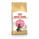 Ξηρά Τροφή Γάτας Royal Canin Maine coon FBN Kitten 400g