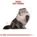 Ξηρά Τροφή Γάτας Royal Canin Persian Adult 2kg