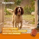 FRONTPRO χάπια κατά ψύλων και κροτώνων για σκύλο (>10-25 kg) - 3x 68 mg