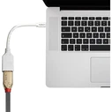 Αντάπτορας MiniDisplayport Lindy to Displayport M/F 0.15m