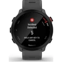 Smartwatch Garmin Forerunner 55 grey